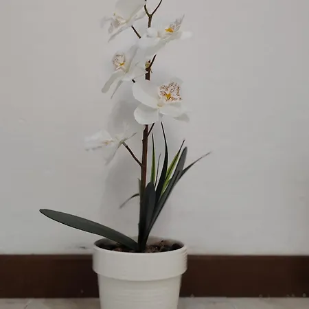 招待所 Creti *